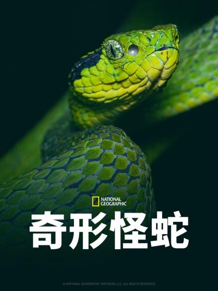 91桃色入口《奇形怪蛇》免费在线观看